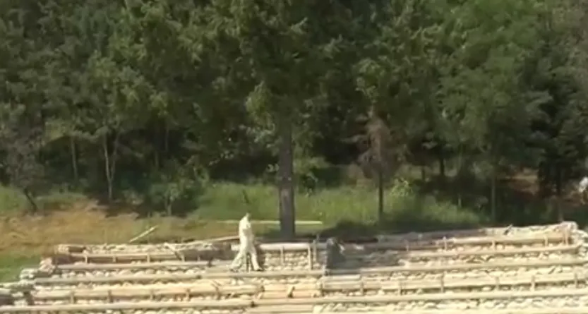 După 30 de ani de la construcția primei scene, Muzeul Satului va avea și Amfiteatru