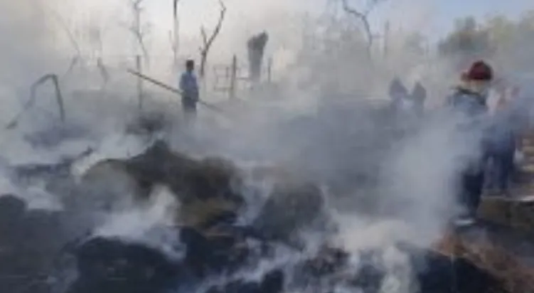 Incendiu la un pavilion apicol in Fețeni