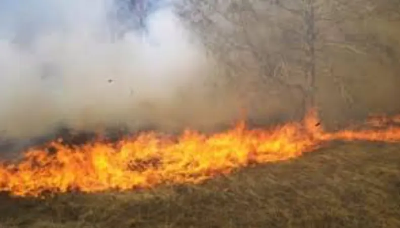 Incendiu în Râureni în această seară. Vântul face dificilă intervenția pompierilor