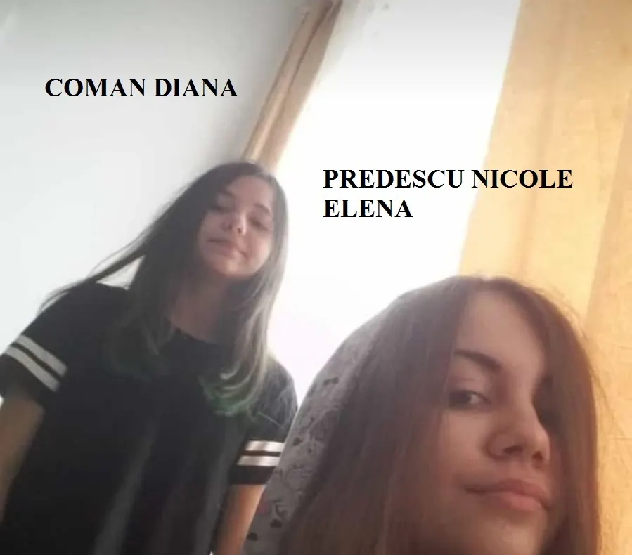 UPDATE Tinere căutate în Râmnicu Vâlcea