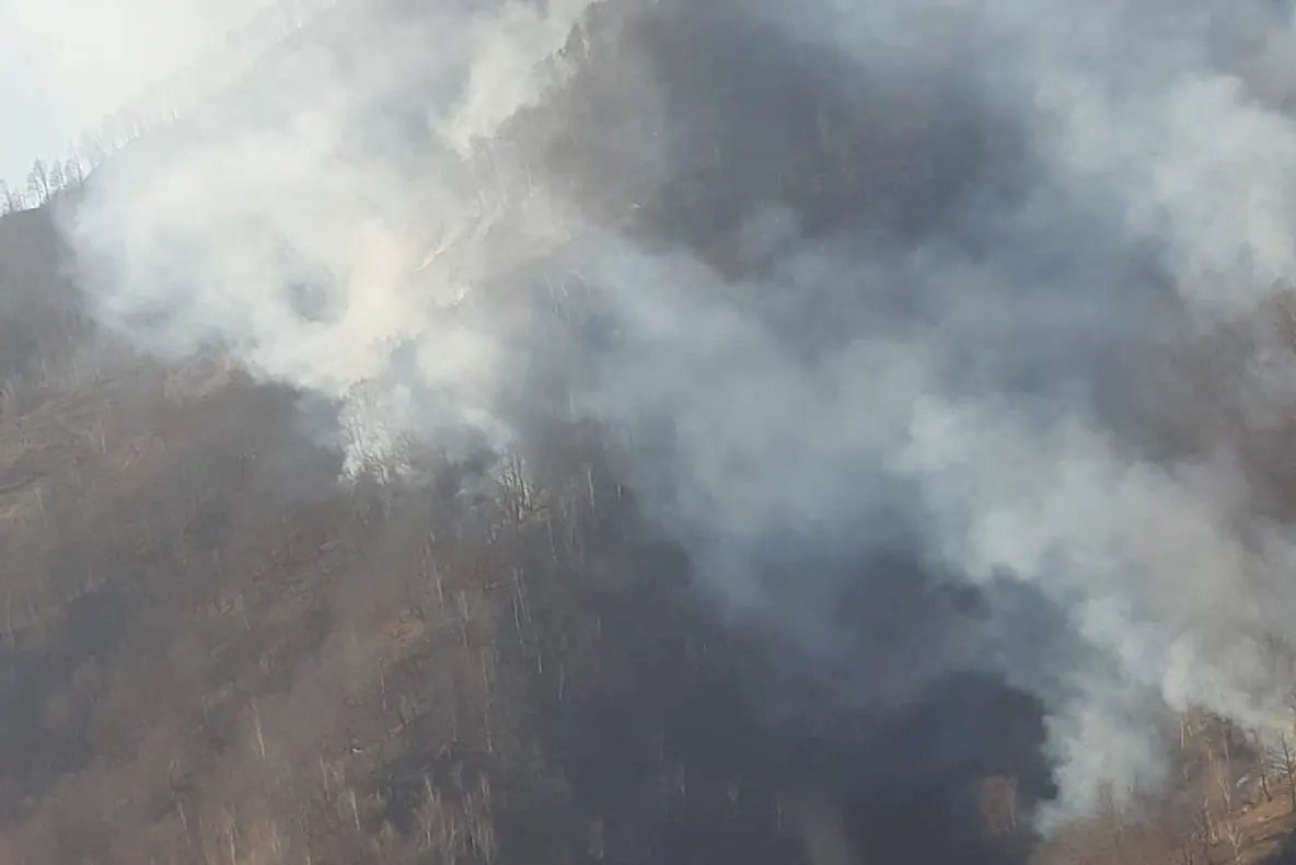 Arde pădurea la Malaia, Valcea !