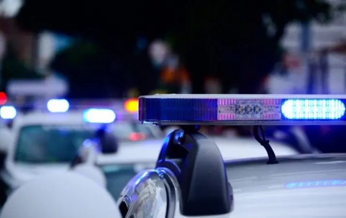 Autoritățile vâlcene în alertă. Transportul animalelor verificat constant
