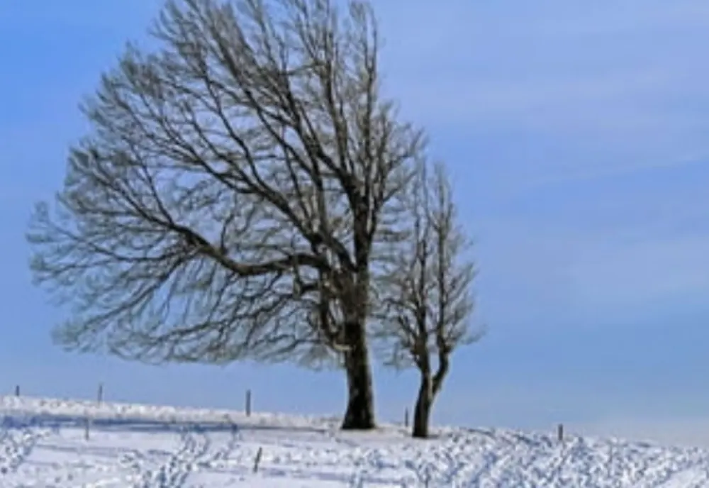 Atenționare pentru șoferi, în contextul avertizărilor meteo