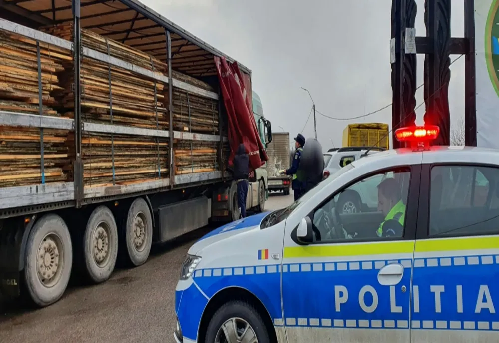 Anchetă. Doi argeșeni ar fi comercializat cantităţi importante de material lemnos, achiziţionat din cadrul unui ocol silvic din judeţul Olt