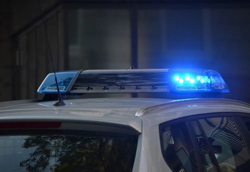 Reținut de poliție după ce a oferit, cu ocazia unei petreceri private, o prăjitura la prepararea căreia a folosit canabis