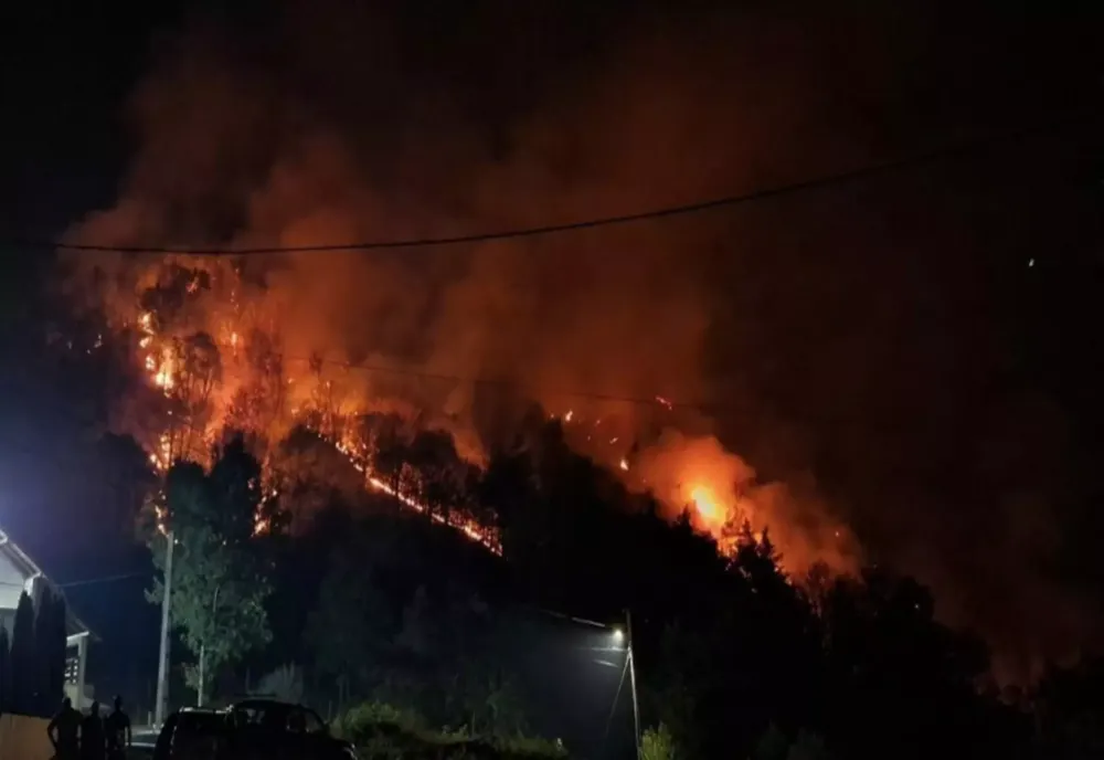 INNCENDIU DE PROPORȚII ÎNTR-O ZONĂ ÎMPĂDURITĂ DIN VÂLCEA