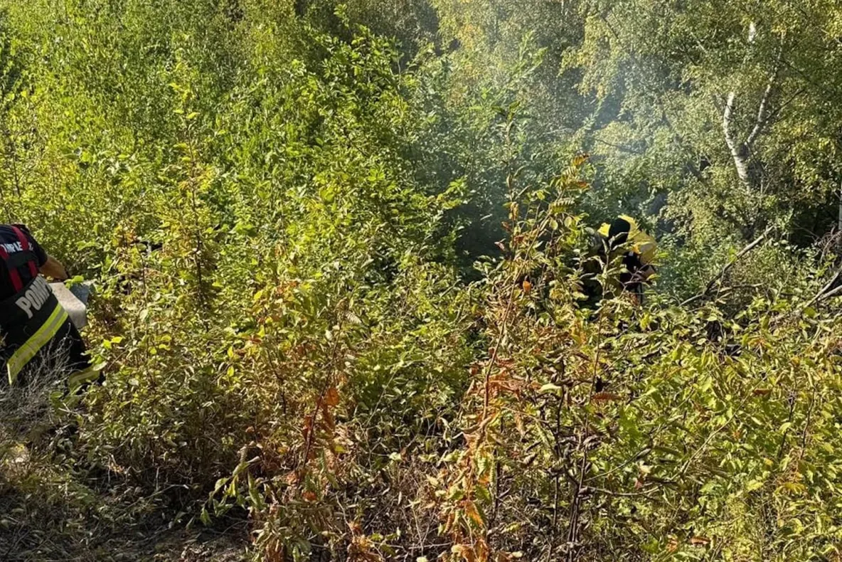 Vâlcea: Incendiu de pădure în apropiere de Valea Oltului, intervenție îngreunată de terenul accidentat