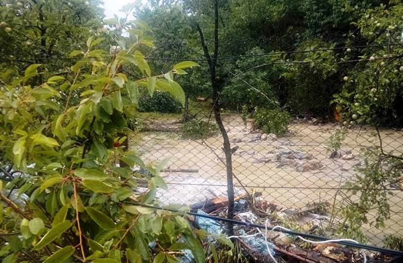 Pagube de sute de miliarde lei vechi, in urma ploilor