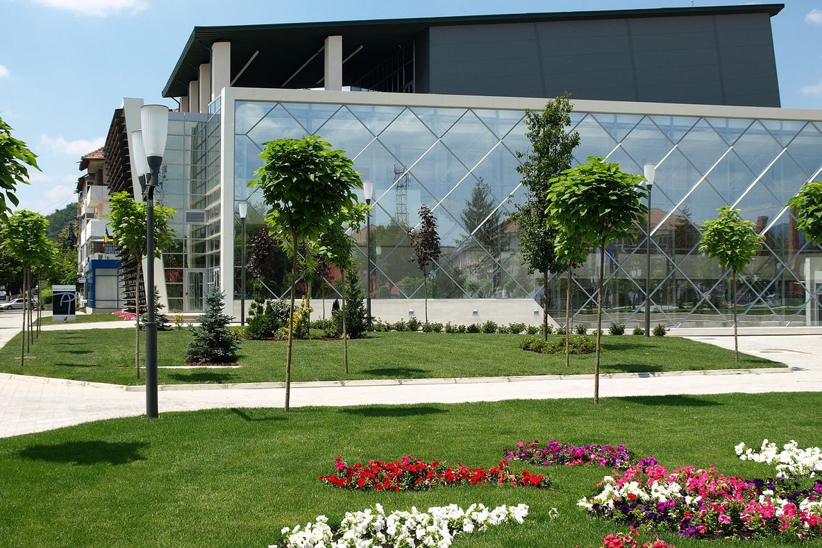 Raport de activitate la Teatrul "Anton Pann"