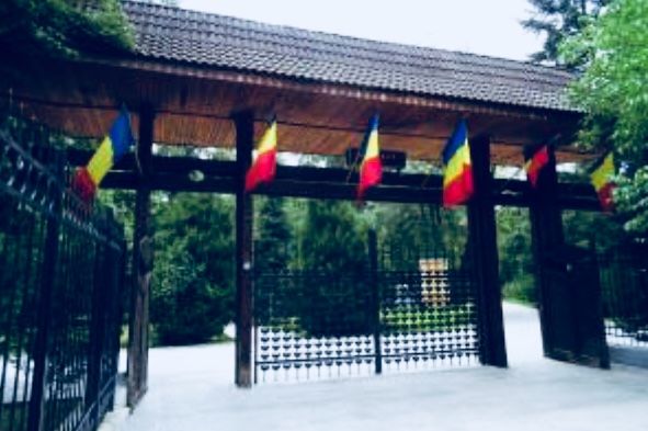 Cercetașii vin in Parcul Zavoi