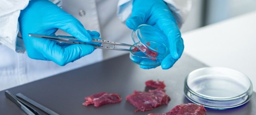 Pesta porcina nu ameninta judetul Valcea!