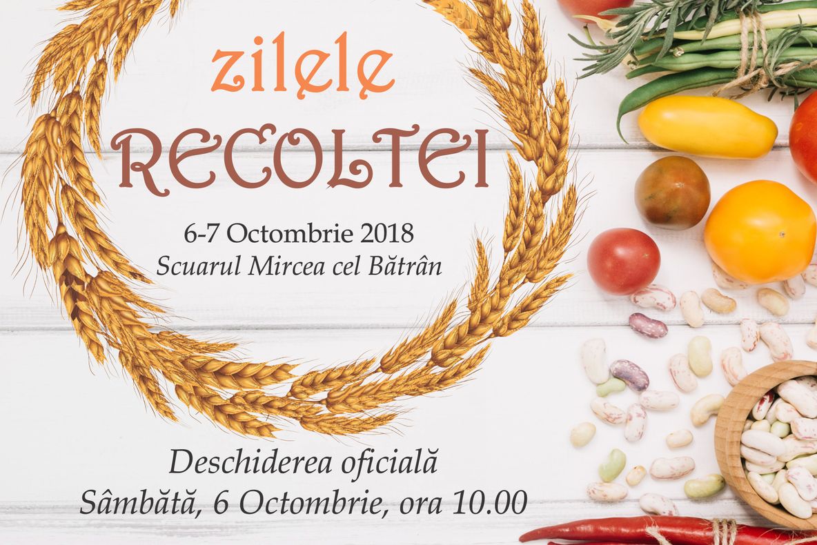 Se fac ultimele pregătiri pentru Zilele Recoltei !