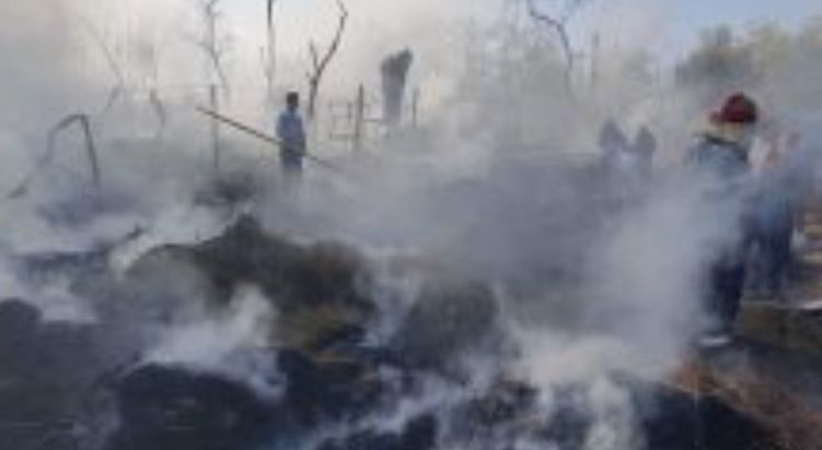 Incendiu la un pavilion apicol in Fețeni