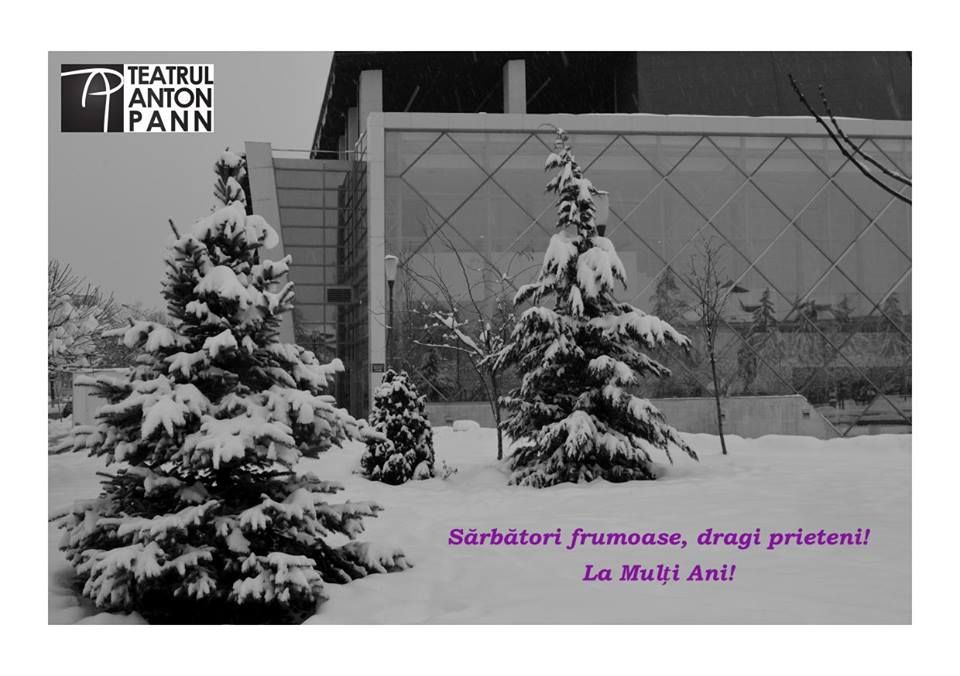 Spectacole la Teatrul Anton Pann !