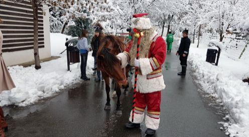 Moș Crăciun a ajuns astăzi la Zoo...cu trăsura