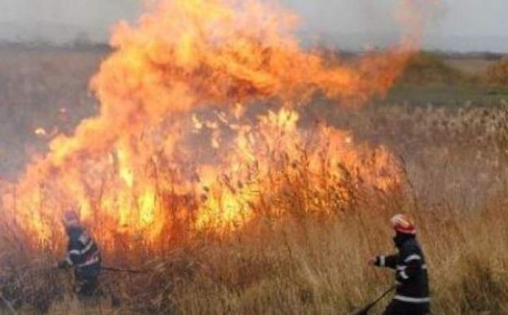 Incendii de vegetație la Vâlcea