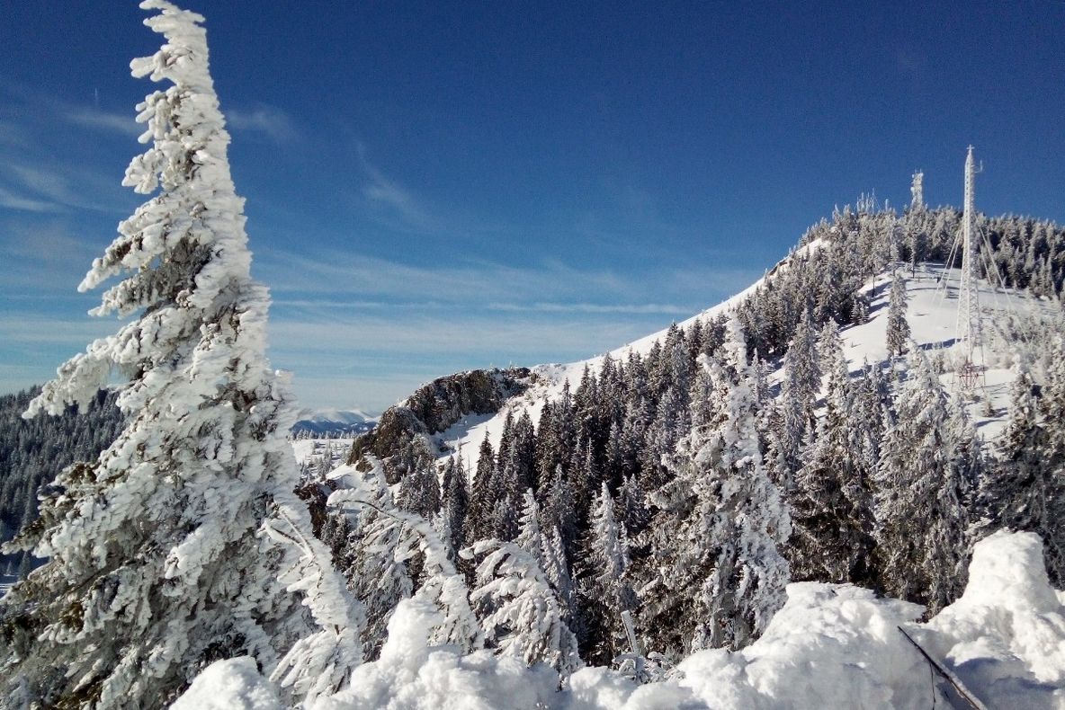 Recomandări de trasee turistice în Masivul Cozia !