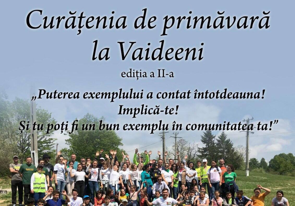 Curățenie de primăvară la Vaideeni !