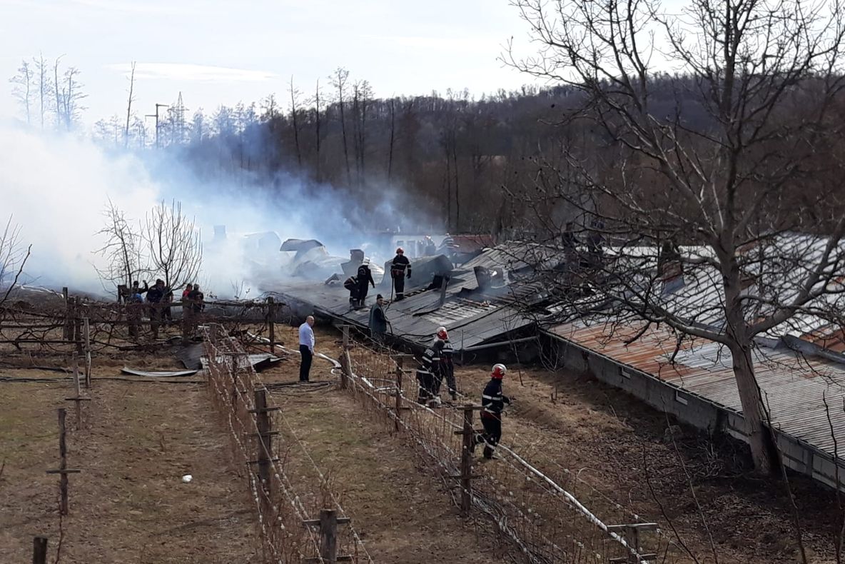 Incendiu la două hale pentru creșterea puilor, la Gătejești, Vâlcea !