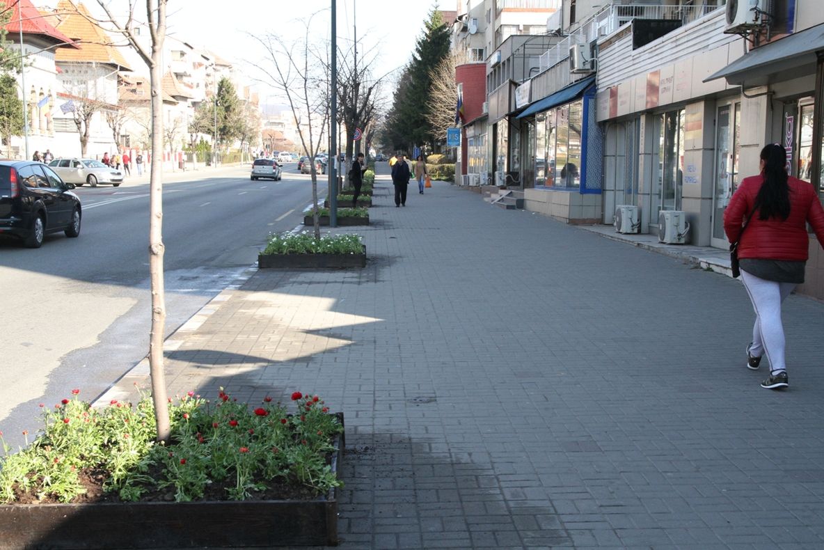 Modalitate inedită de împodobire cu flori a municipiului Rm. Vâlcea !