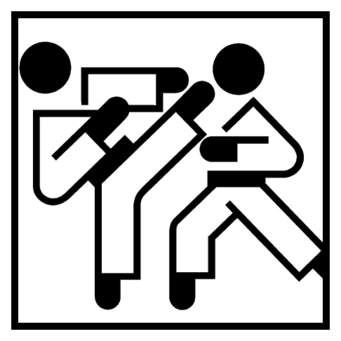 Medalii pentru sportivii vâlceni !