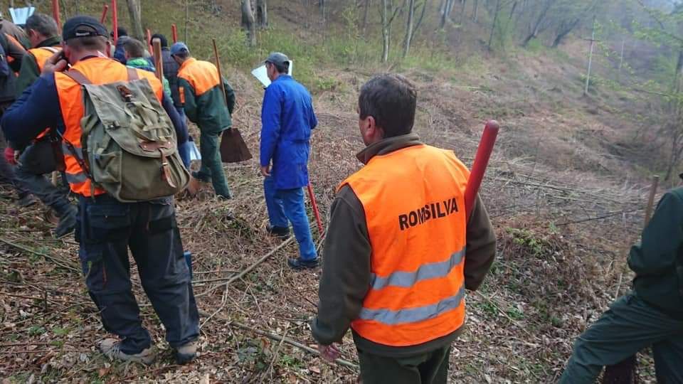 Incendiul de la Brezoi a fost lichidat
