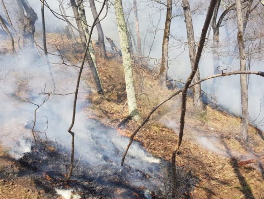 Incendiul din Brezoi s- a extins. În zonă este trimis in elicopter pentru stingerea flăcărilor
