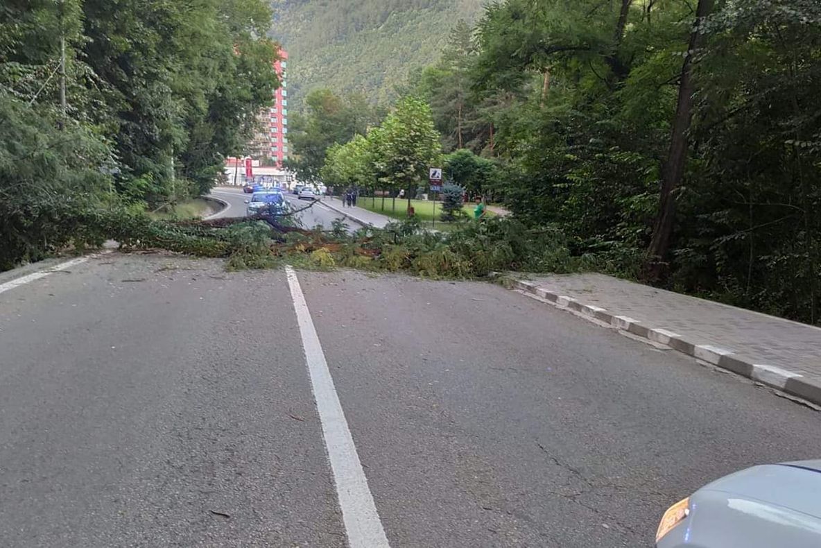Circulație blocată în Călimănești, copaci căzuți pe carosabil. Trafic deviat
