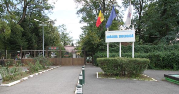 Pregătiri de iarnă la grădina zoologică din Râmnicu Vâlcea