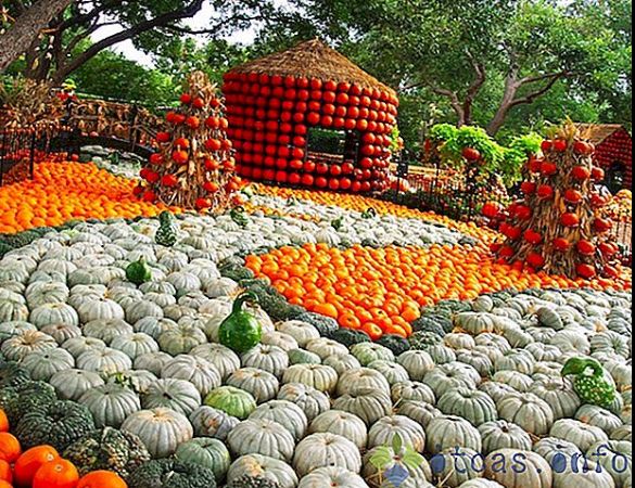 Festival de toamnă în centrul Râmnicului