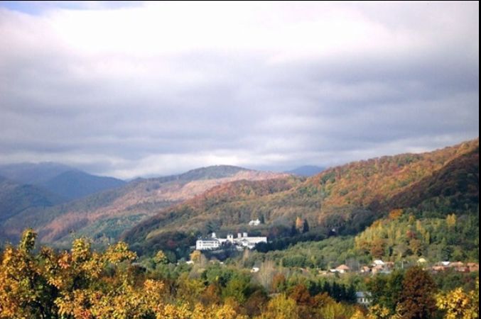 Mesaj RO-ALERT la apariția unui urs în Horezu. În prezent locuitorii se află în siguranță