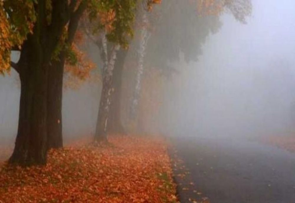 Cod galben de ceață în Vâlcea și alte 4 județe