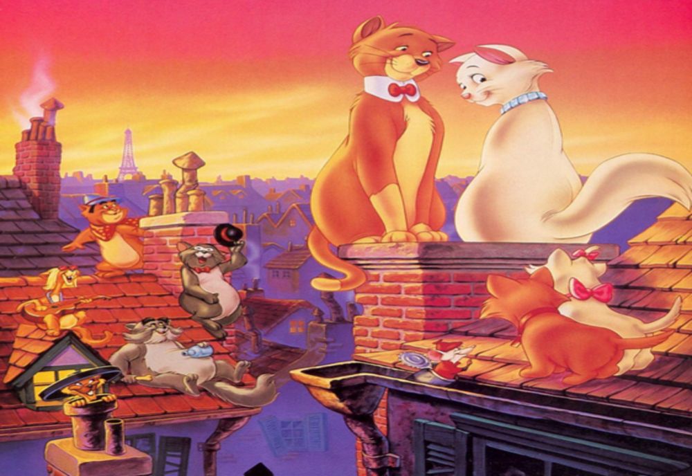 Pisica aristocrata la Teatrul Anton Pann