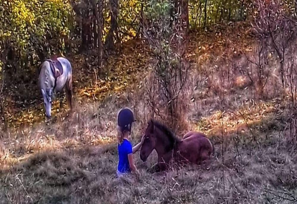 Tabără de echitație într- un loc plin de farmec, uitat aproape de lume