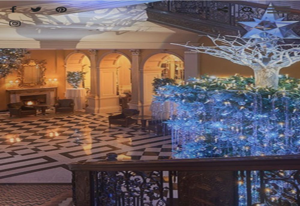 16 brazi împodobiți de designeri celebri vor fi scoși la licitație în scop caritabil la Paradis Royal