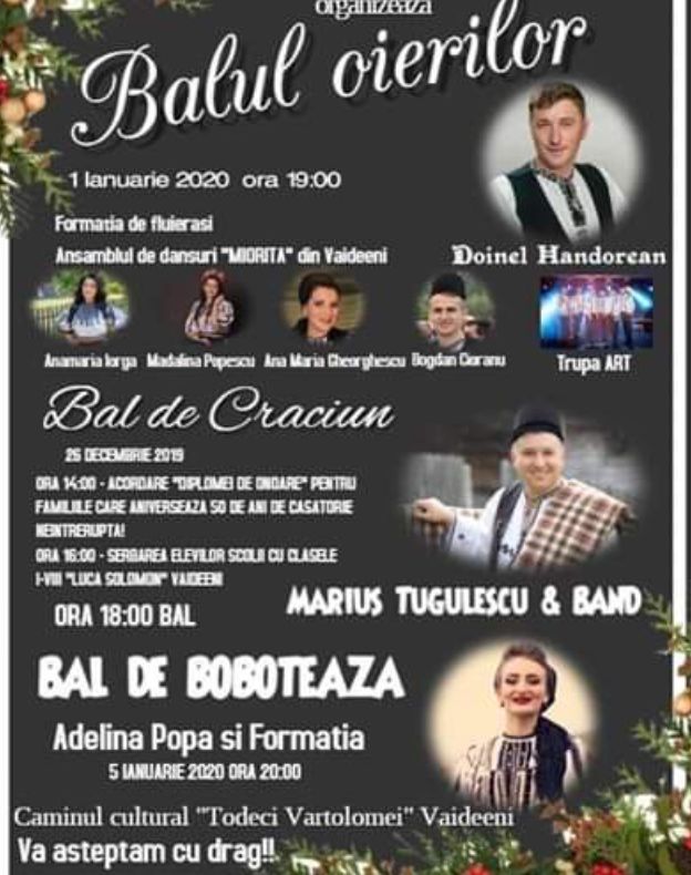 Pregătiri pentru marele bal din Vaideeni