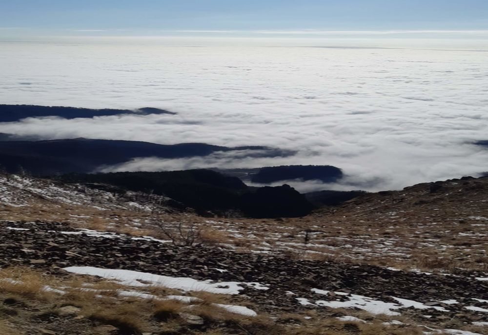 Iarnă pe Vârful Cozia