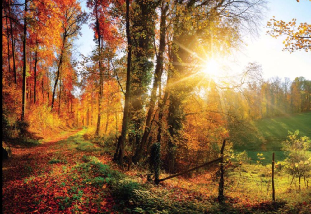 Miercuri, o nouă zi însorită, de iarnă