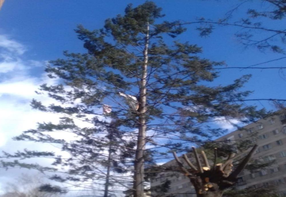 Vântul a smuls o parte dintr- un acoperiș pe strada Regina Maria din Râmnicu Vâlcea