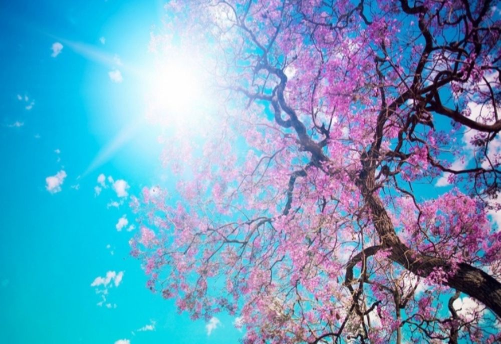 Cum se va schimba vremea până la jumătatea lunii aprilie