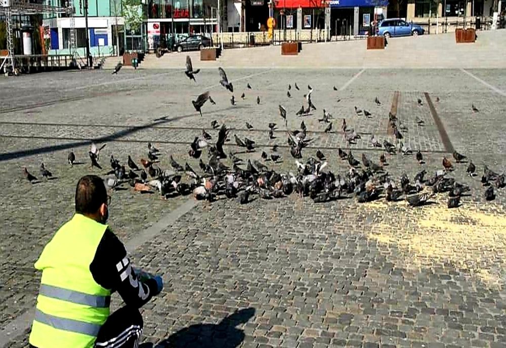 Hrană pentru porumbeii din Scuarul Mircea cel Bătrân
