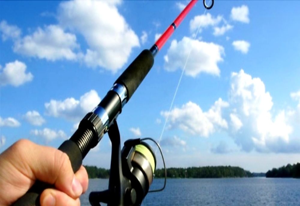 Sancționați pentru că au pescuit fără autorizație