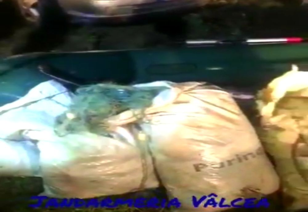 88 de kilograme de peşte confiscate într- o localitate din Vâlcea