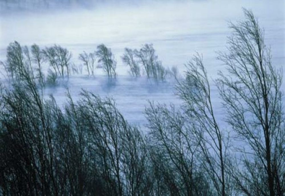 Cod galben de vânt puternic în mai multe zone ale țării