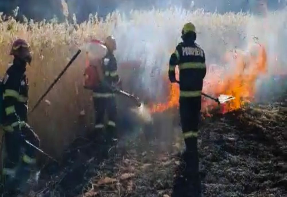 Incendiu de vegetație. O persoană a decedat