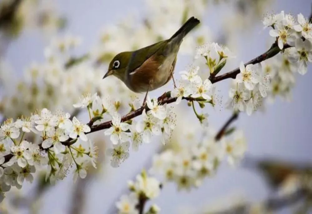 Astăzi, vreme la extreme