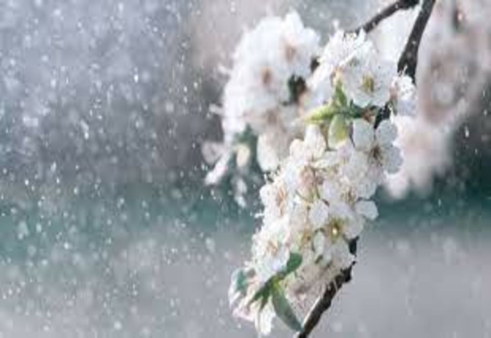 Meteo| Astăzi vremea se schimbă față de ziua anterioară