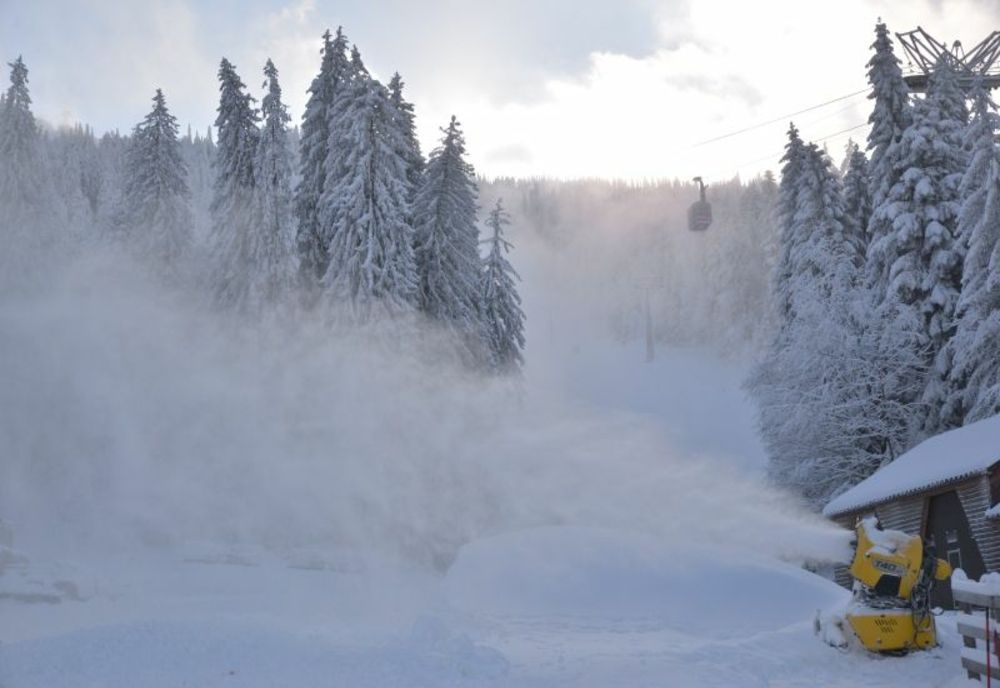 COD PORTOCALIU de ninsoare în județul Vâlcea