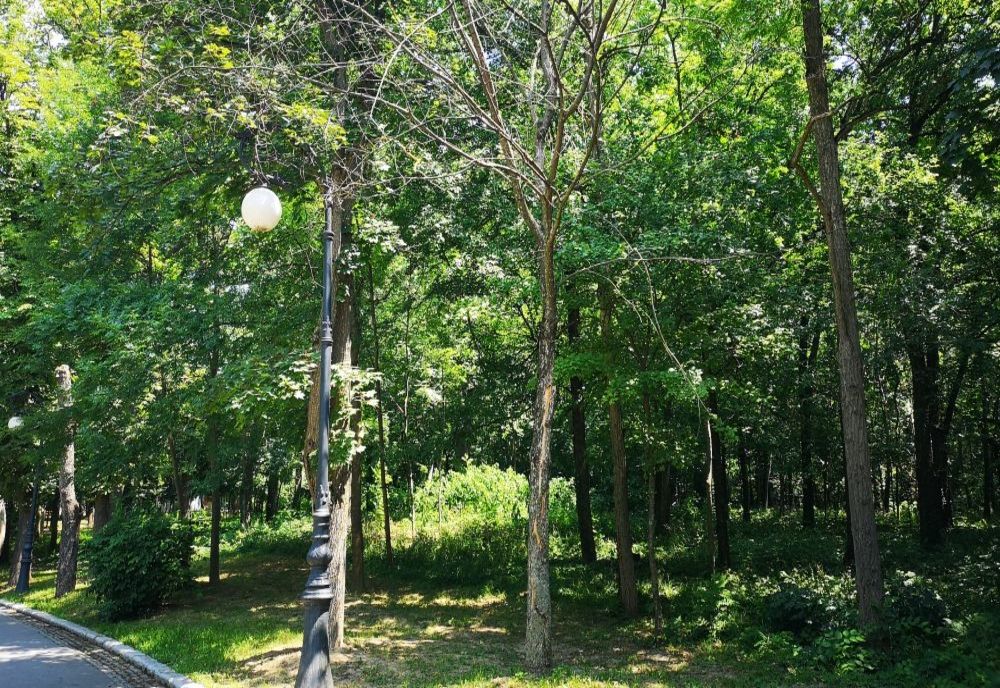 Trafic restricționat temporar astăzi. Unde se întâmplă