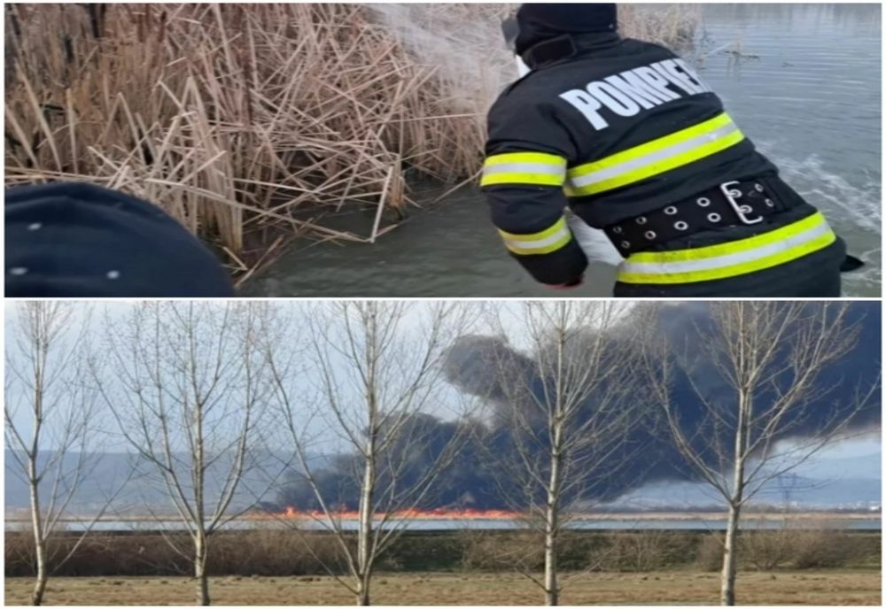 Incendiu de vegetaţie pe o insulă din Vâlcea